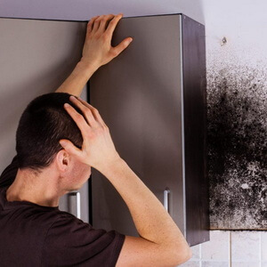 A person dealing with mold in the wall