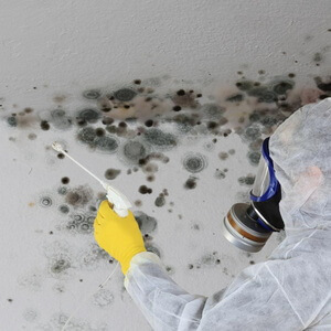 A person removing mold  